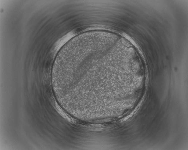 X0000085041137200703261305