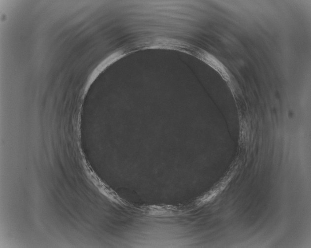 X0000085041138200703261305