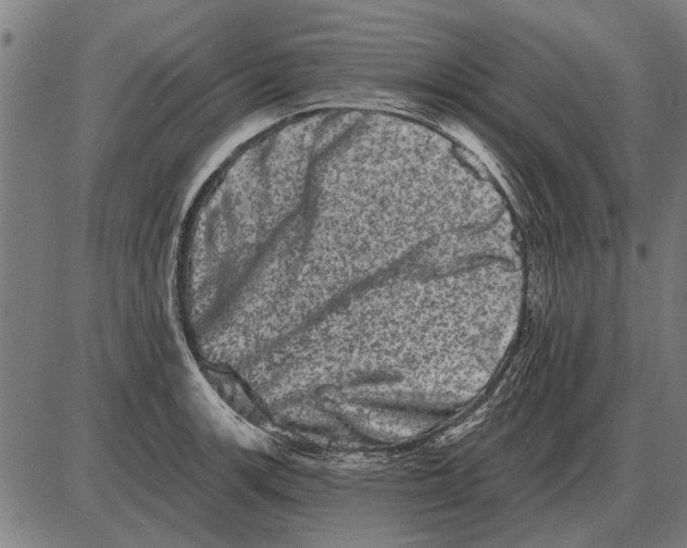 X0000085041139200703261305