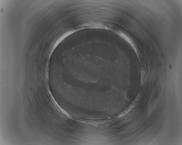 X0000085041141200703261305