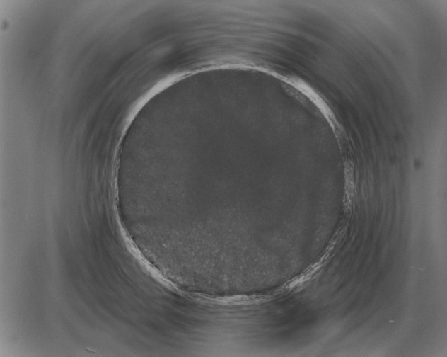 X0000085041142200703261305