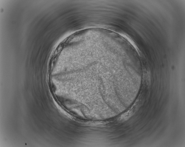 X0000085041143200703261305