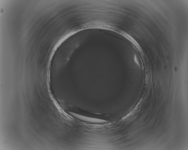 X0000085041144200703261305