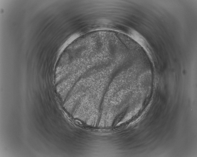 X0000085041145200703261305