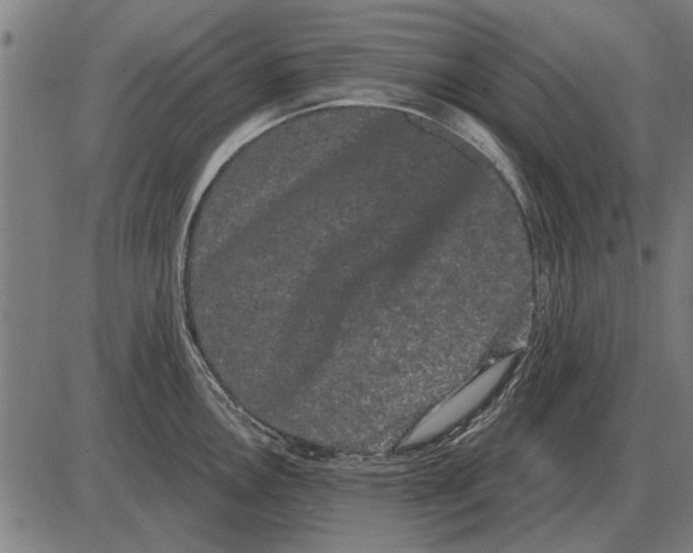 X0000085041146200703261305