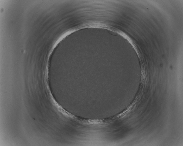 X0000085041147200703261305