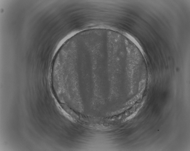 X0000085041149200703261305