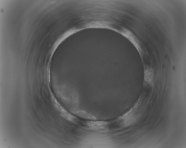 X0000085041150200703261305