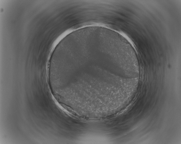 X0000085041151200703261305