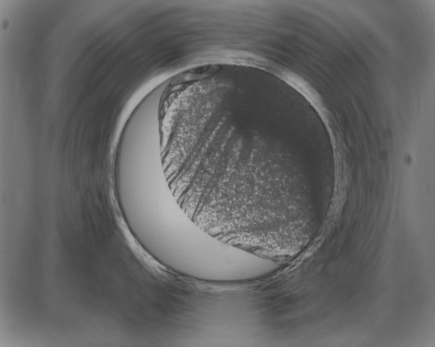 X0000085041152200703261305