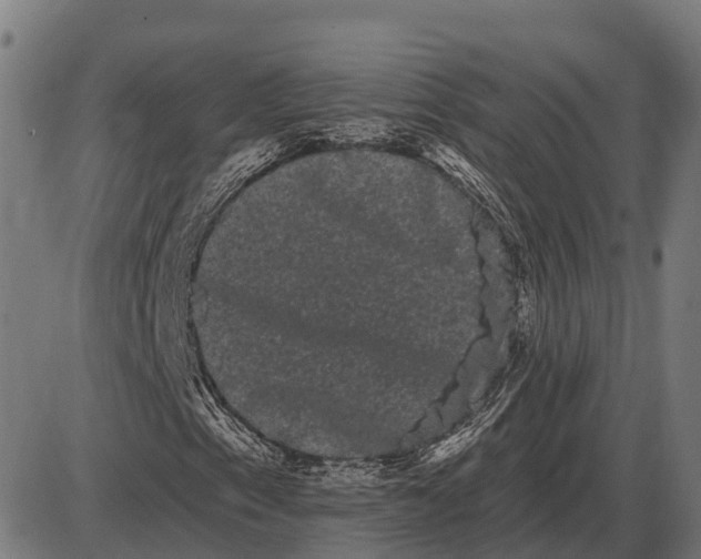 X0000085041153200703261304