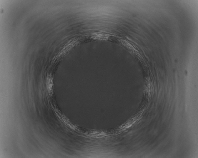 X0000085041154200703261304