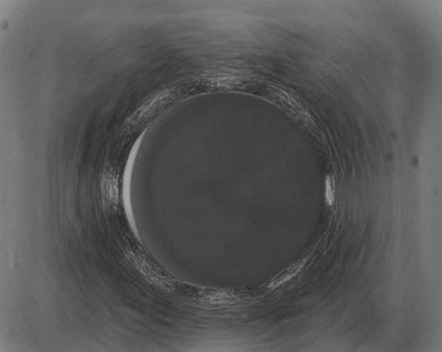 X0000085041155200703261304