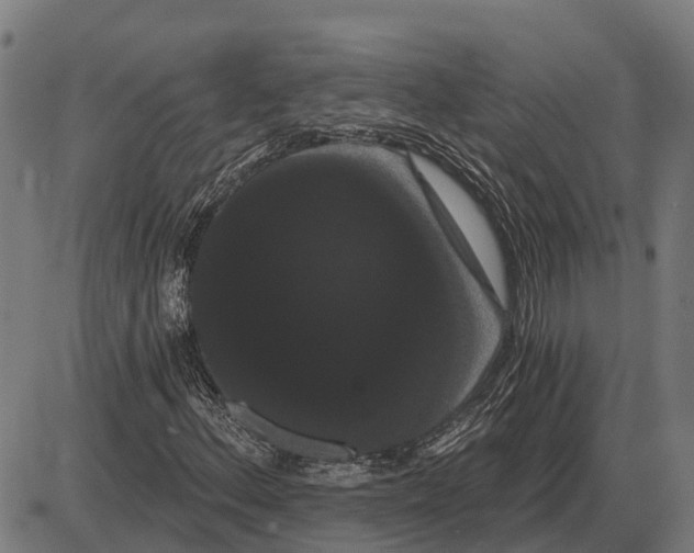 X0000085041156200703261304