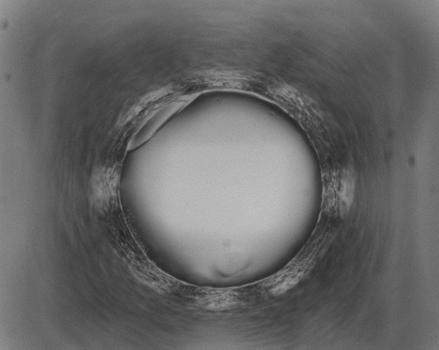 X0000085041157200703261304