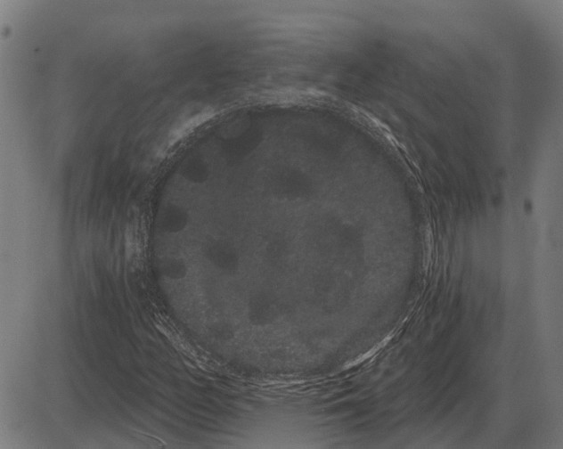 X0000085041158200703261304