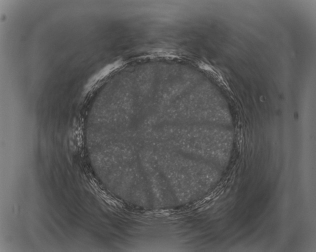 X0000085041159200703261304