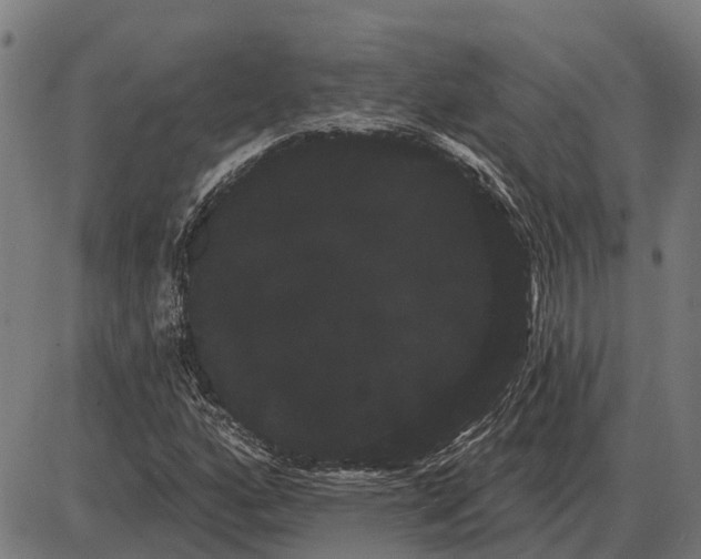 X0000085041160200703261304