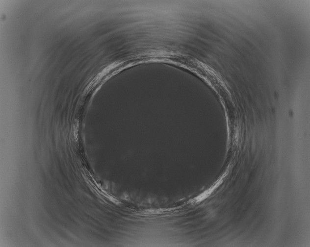 X0000085041161200703261304