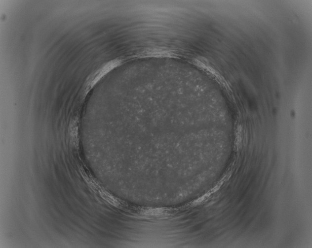 X0000085041162200703261304