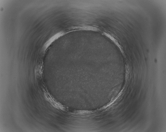 X0000085041163200703261304