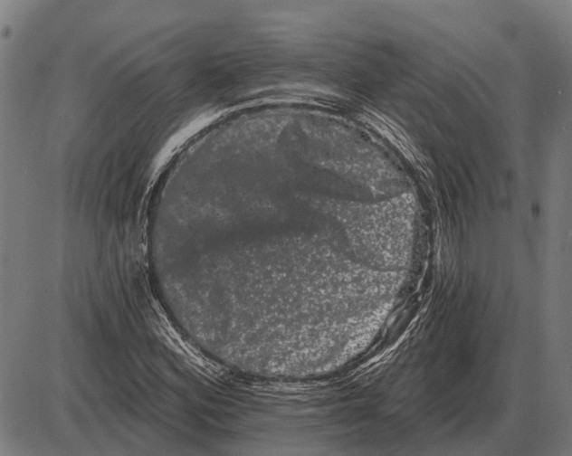 X0000085041164200703261304