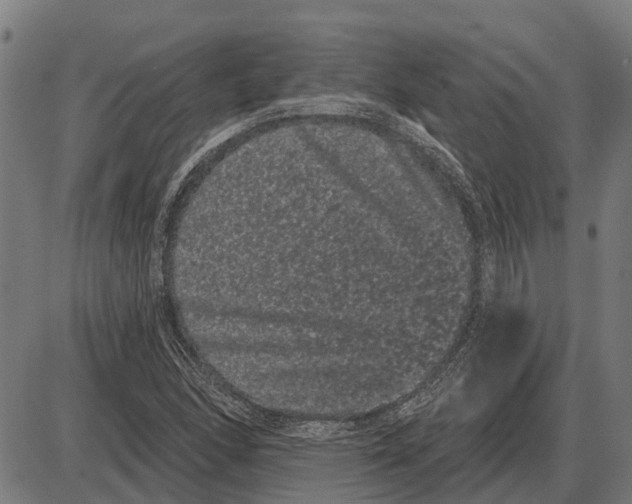 X0000085041166200703261304