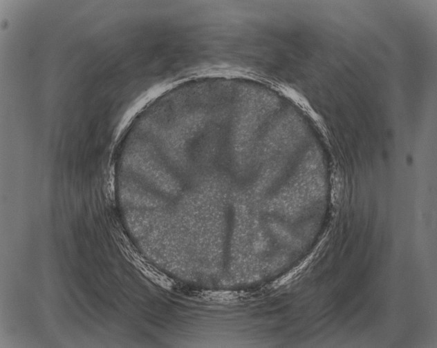 X0000085041167200703261304