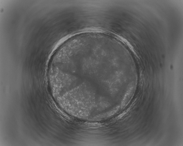 X0000085041168200703261304