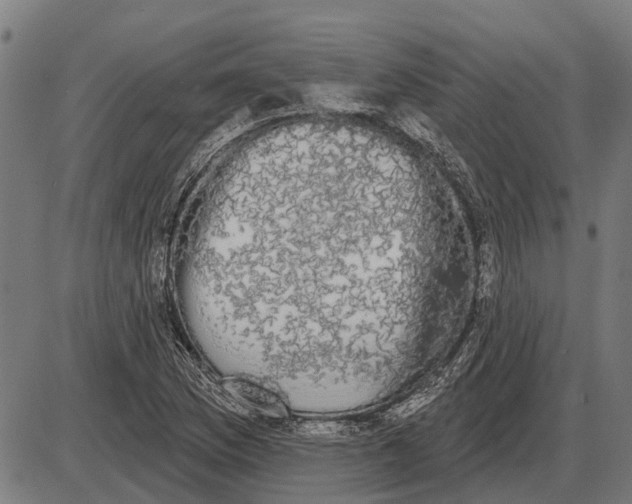 X0000085041169200703261304