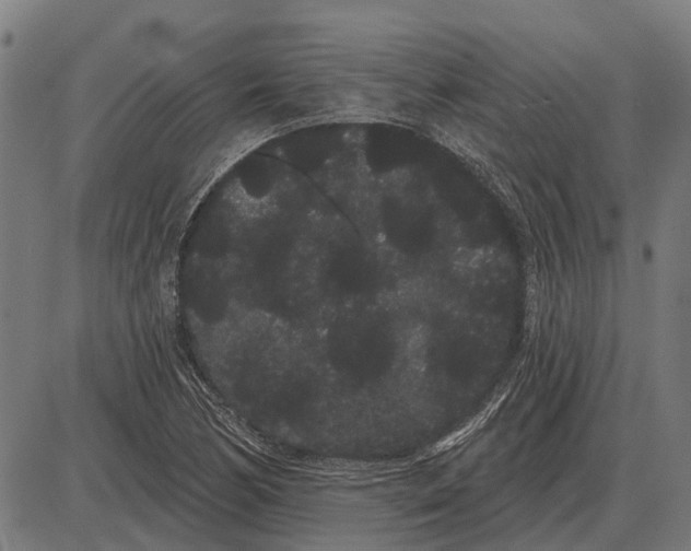 X0000085041170200703261304