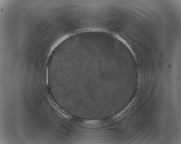 X0000085041171200703261304