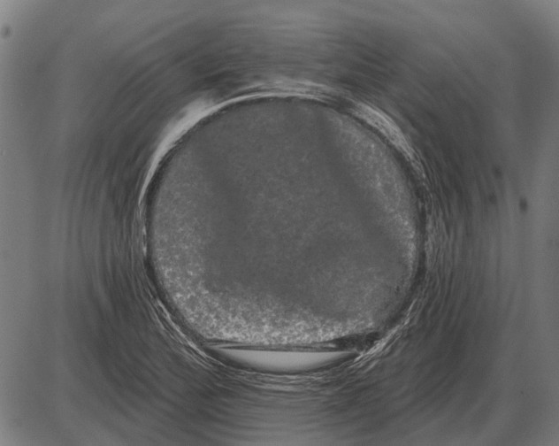 X0000085041172200703261304