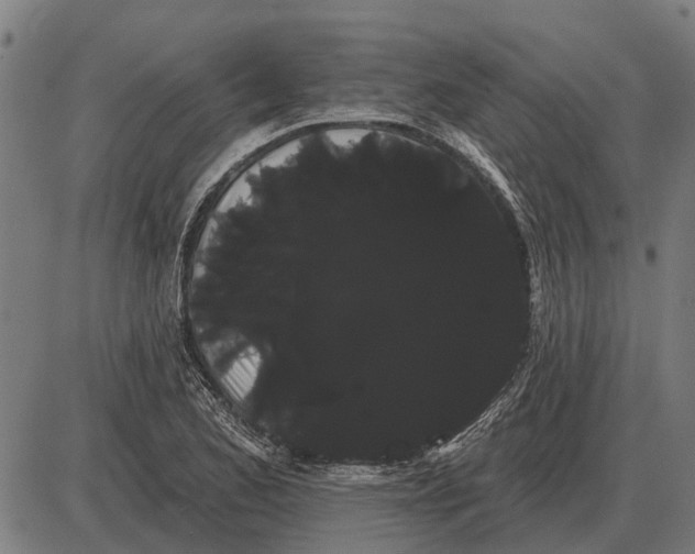 X0000085041173200703261304