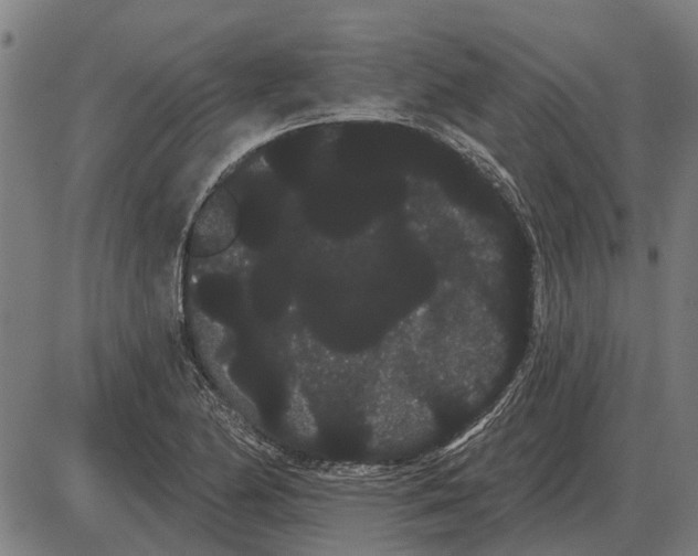 X0000085041174200703261304