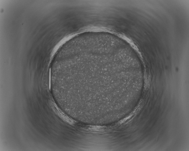 X0000085041175200703261304