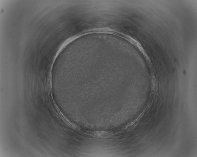 X0000085041176200703261304