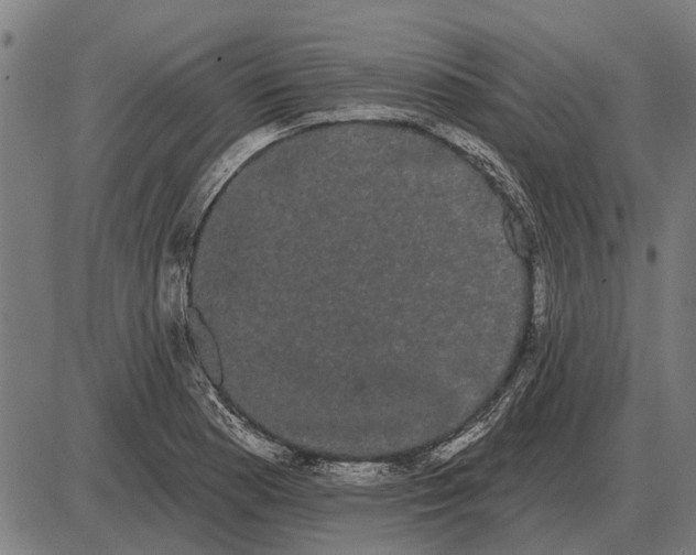 X0000085041177200703261304