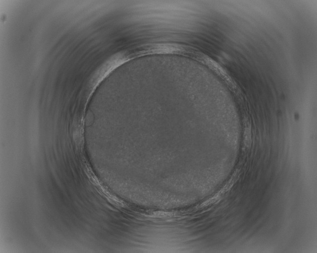 X0000085041178200703261304