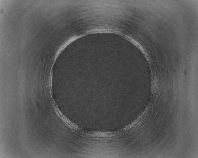 X0000085041179200703261304