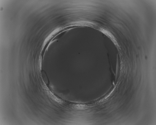 X0000085041180200703261304