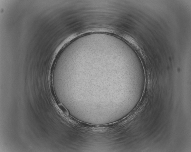 X0000085041181200703261304