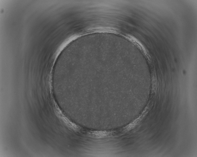 X0000085041182200703261304