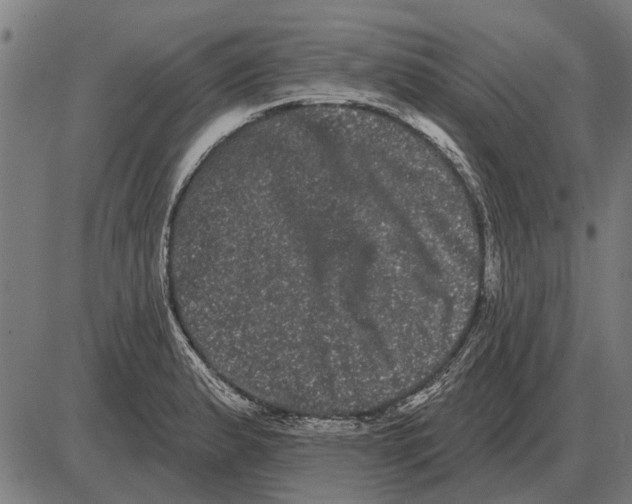 X0000085041183200703261304