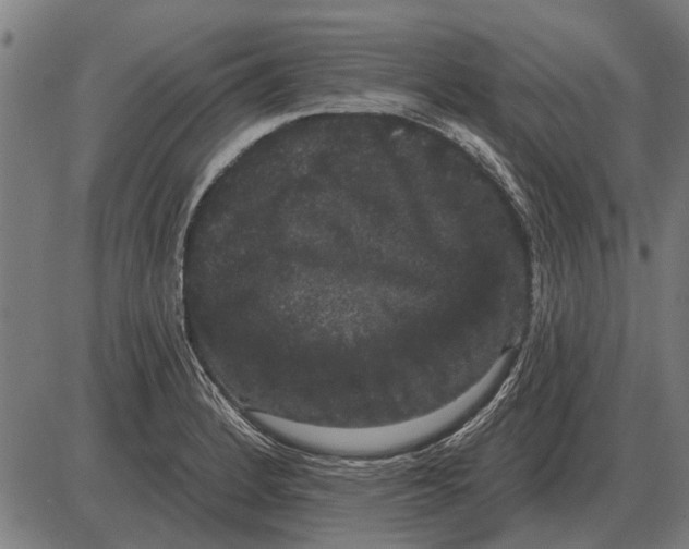 X0000085041184200703261304