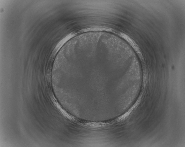 X0000085041185200703261304