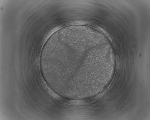 X0000085041186200703261304