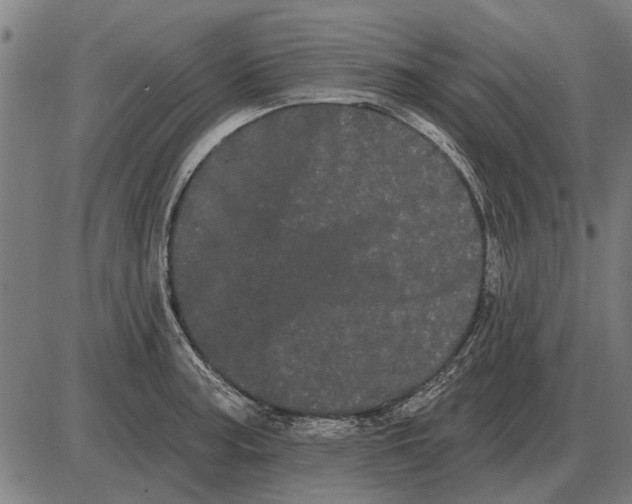 X0000085041187200703261304