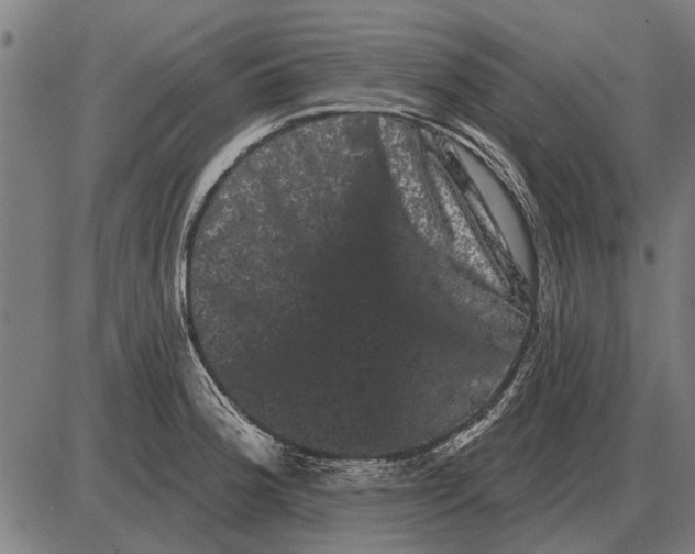 X0000085041188200703261304