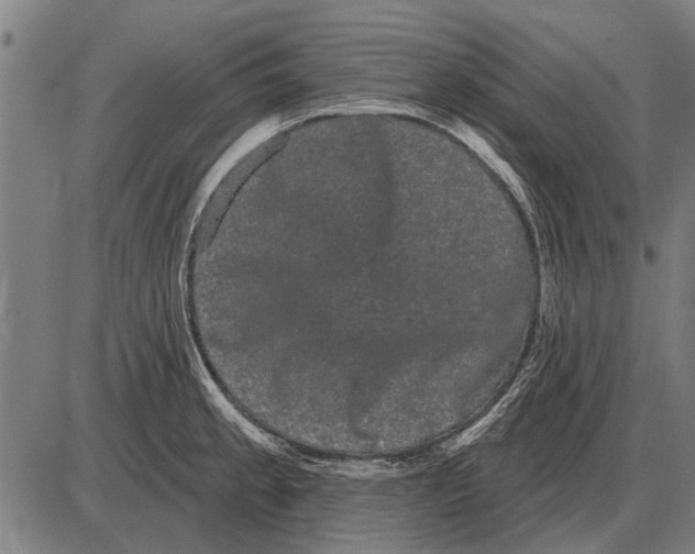 X0000085041189200703261304